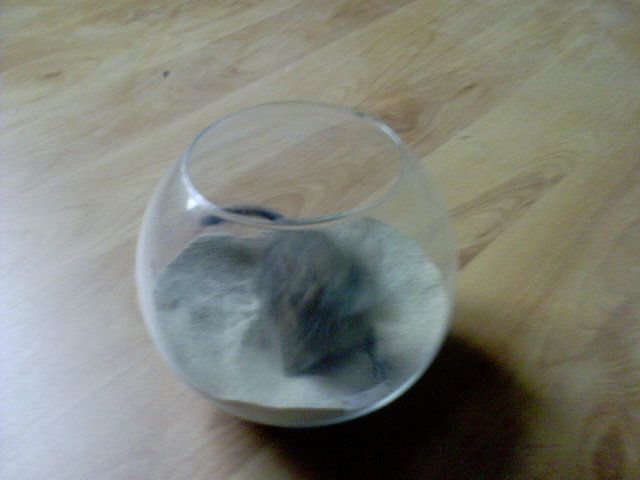 DSC00006.JPG