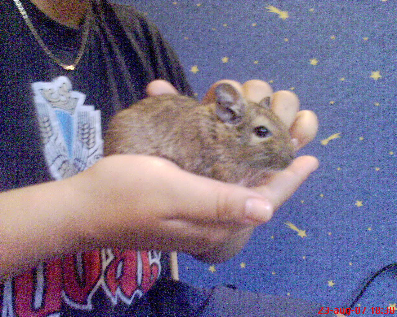 DSC00035.JPG